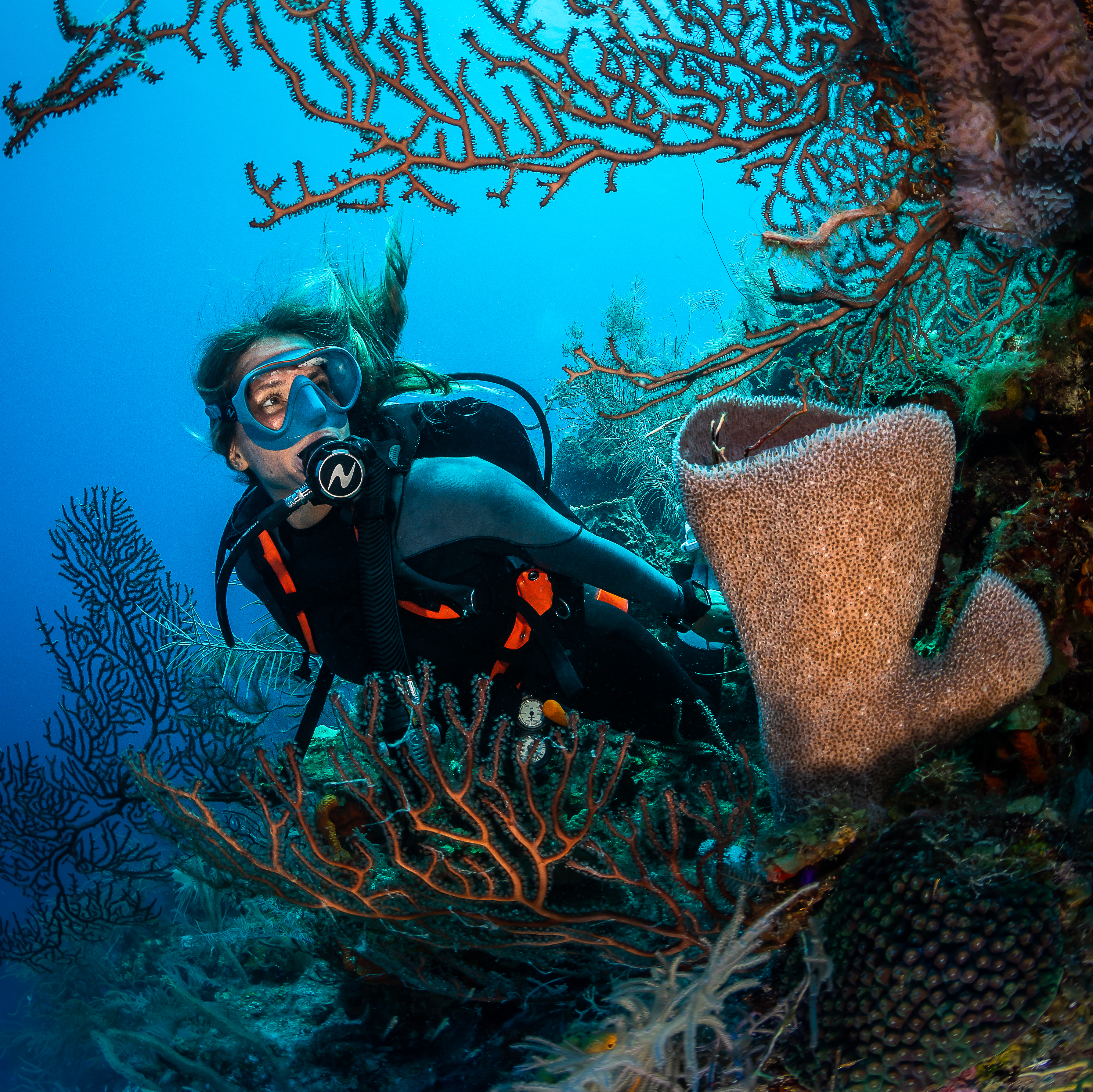 Product Details - PRO HD COMPACT - Dive BCD