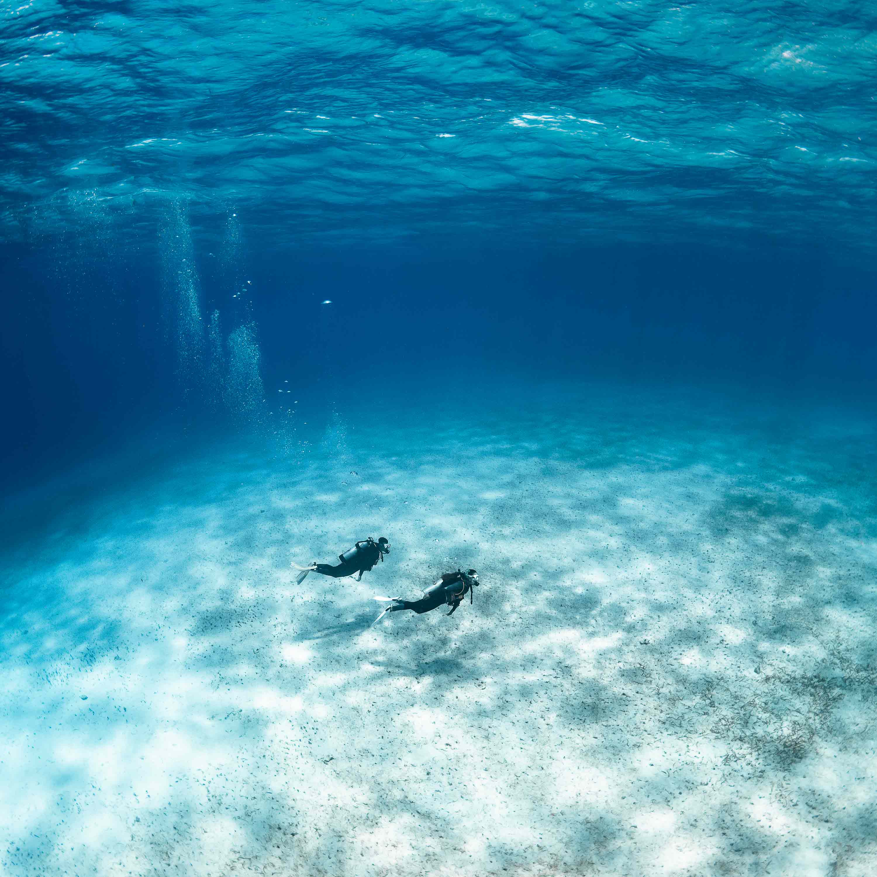 What’s in the box - LOTUS - Women's Dive BCD