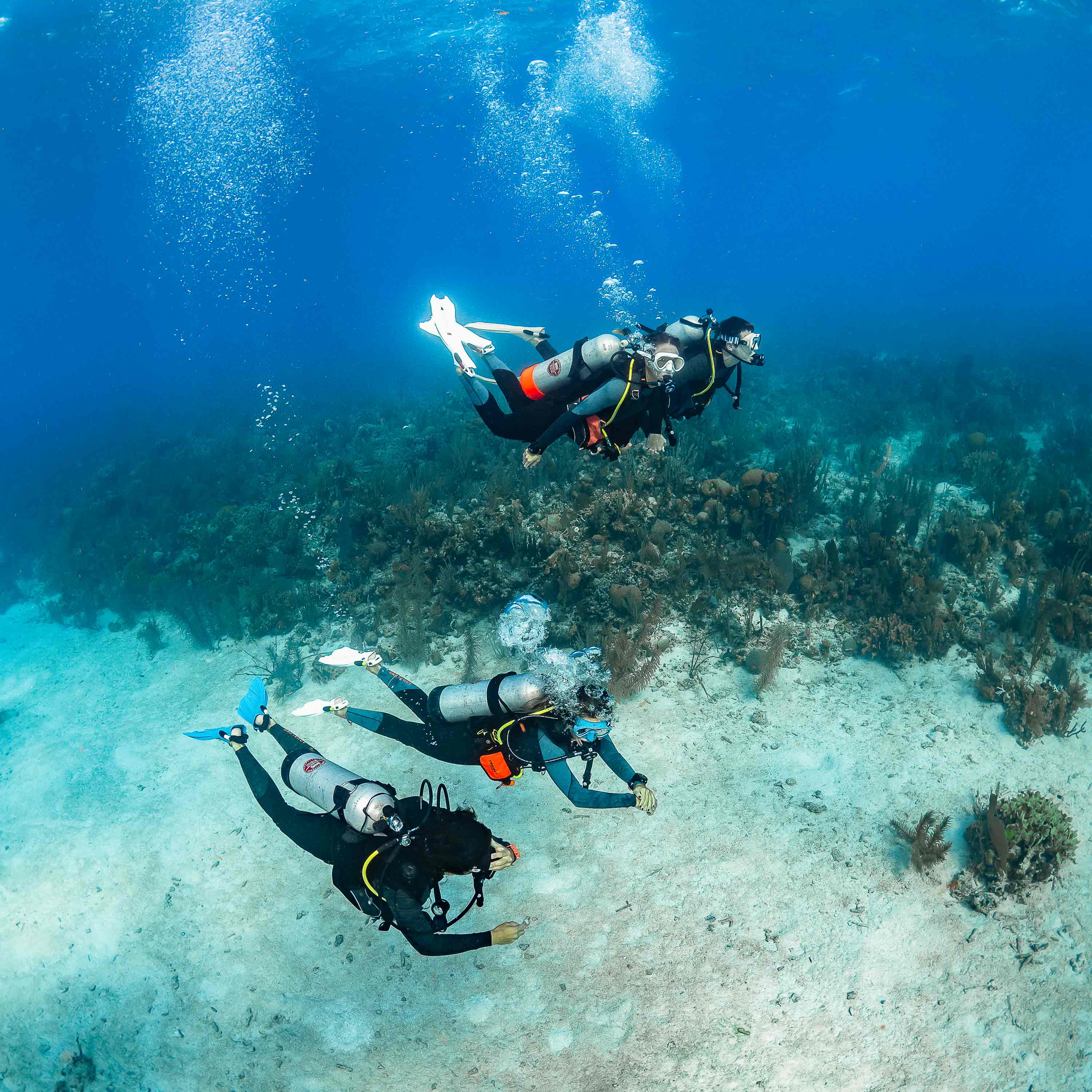 Product Details - STORM MAX - Dive Fins