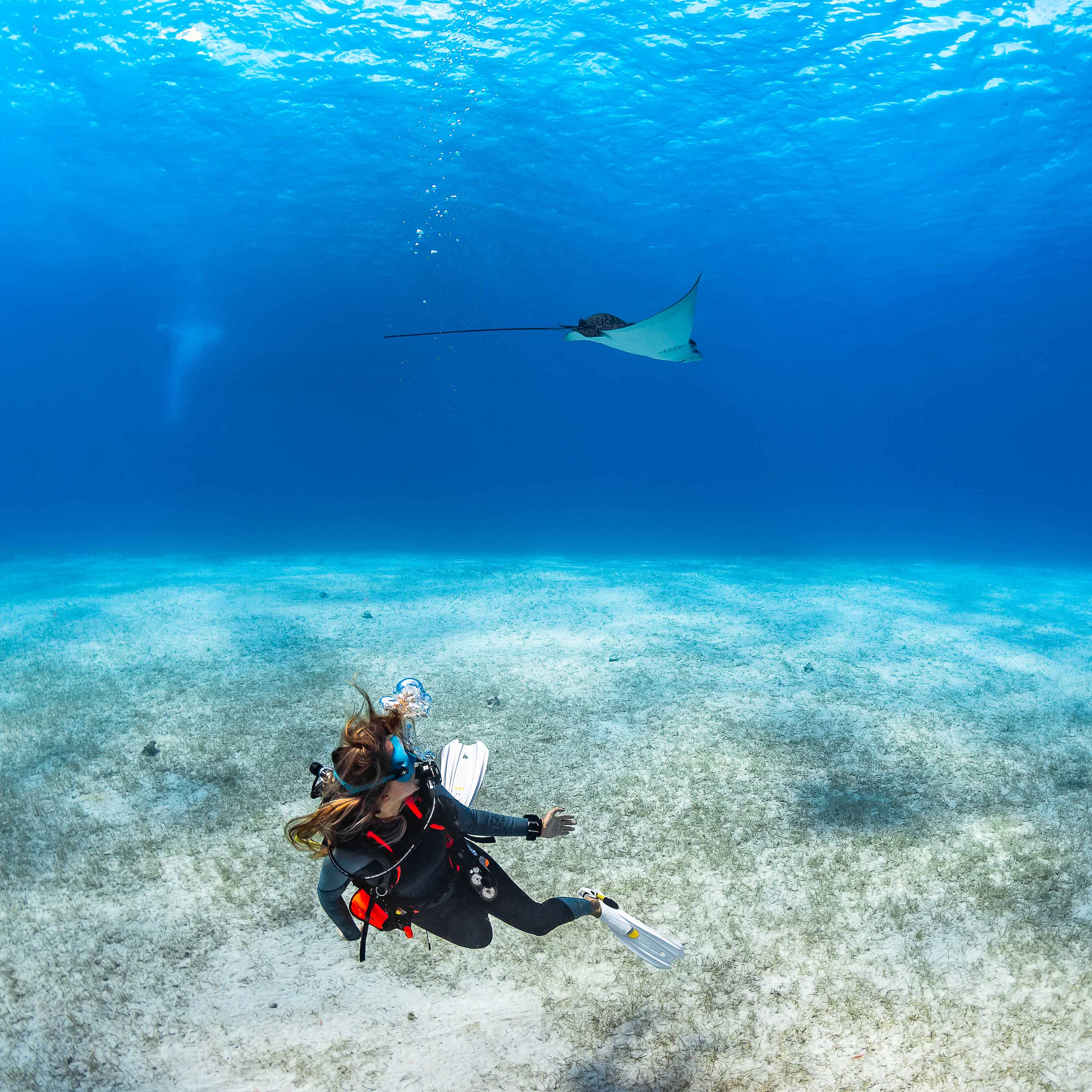 Product Details - LOOK - Dive Mask