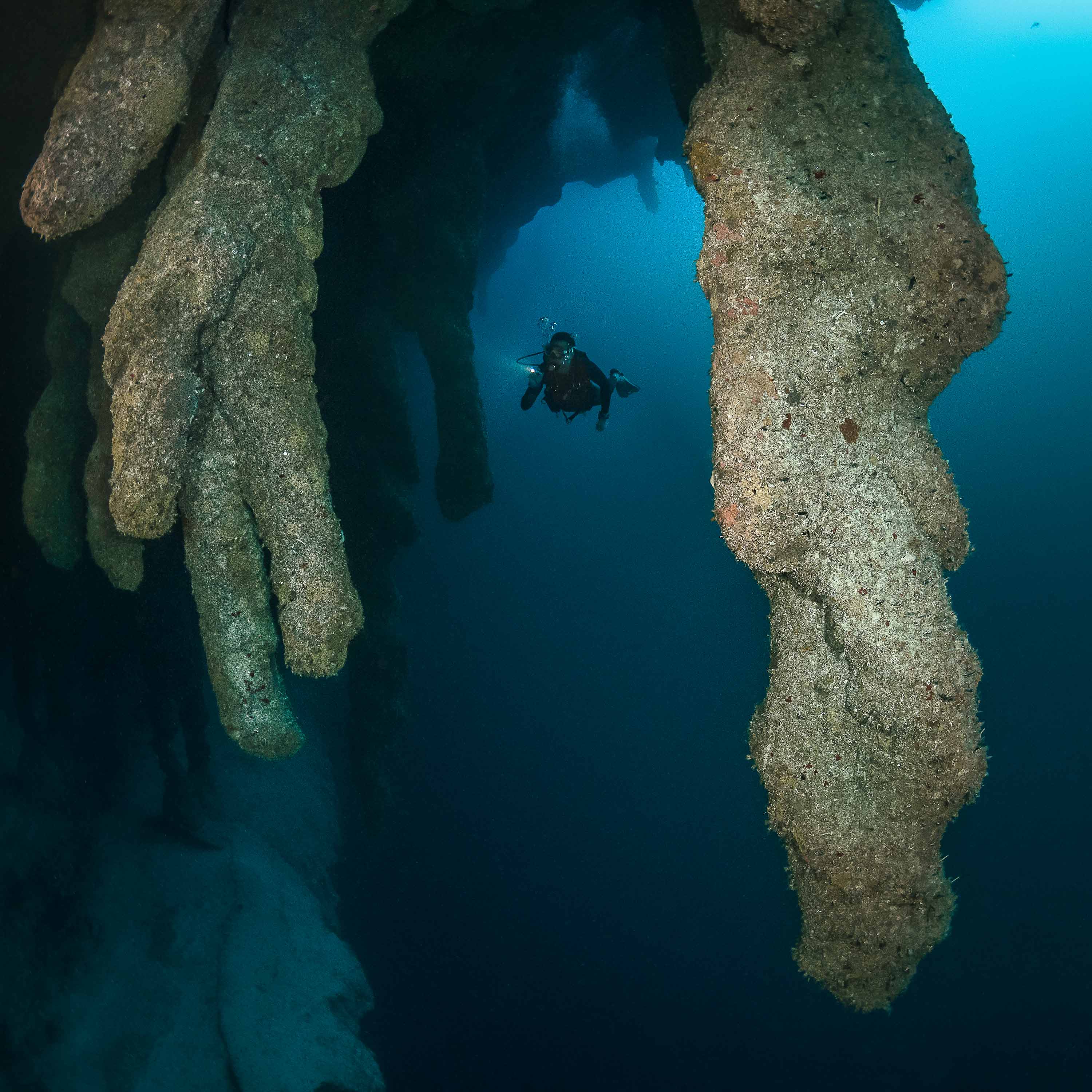 What’s in the box - LOOK - Dive Mask