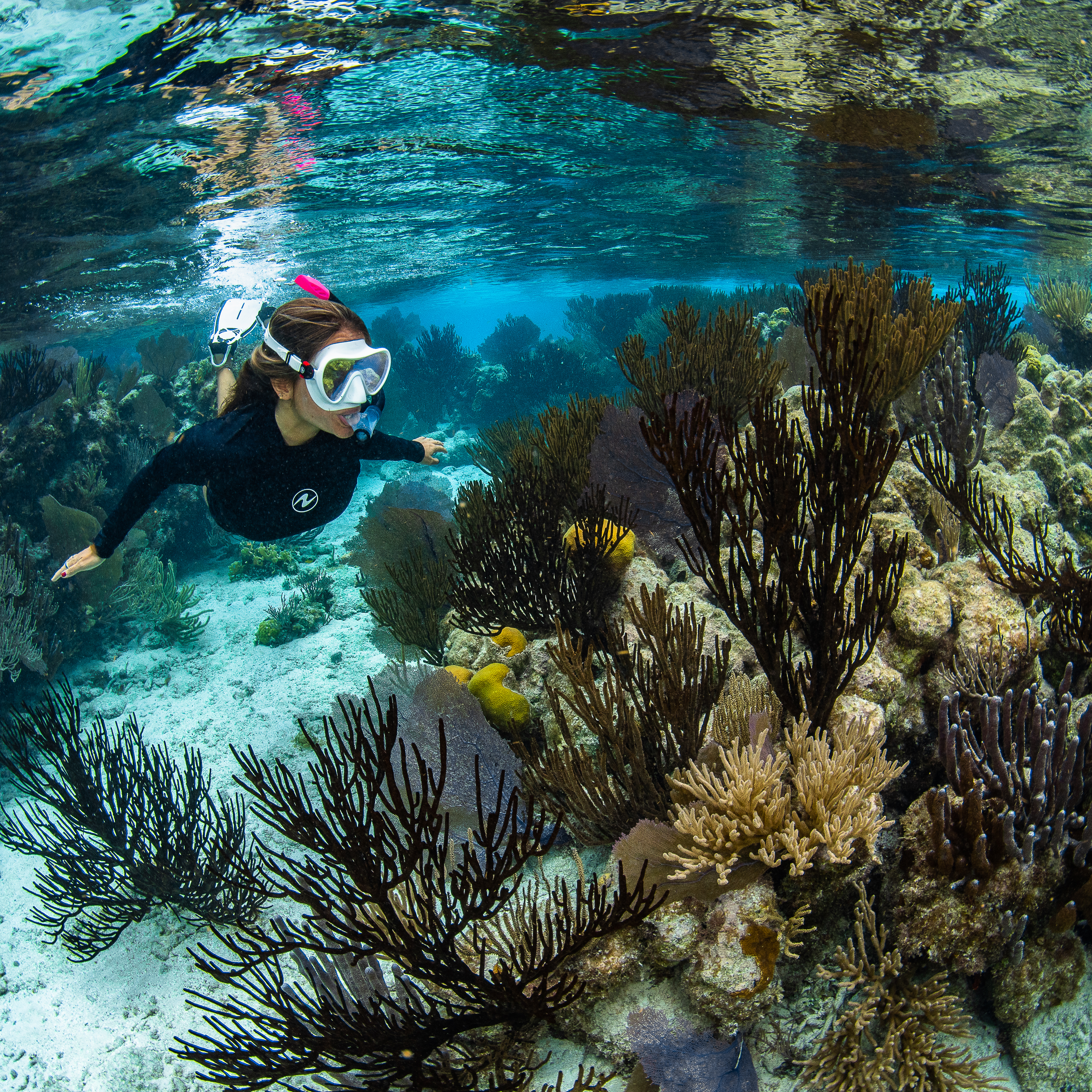 Product Details - NABUL - Snorkeling Mask